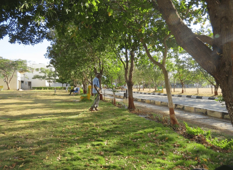 Raw image 1